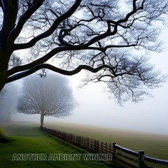 Another Ambient Winter (Remaster)
