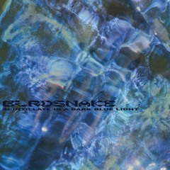 DC Promo Tracks: Birdsnake "Scintillate in a Dark Blue Light"