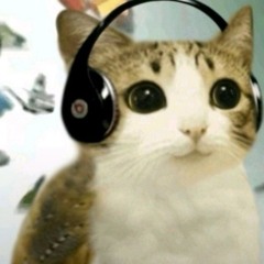 BRAINROT HYPERFLIP MEGA EARRAPE