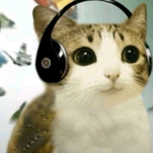 BRAINROT HYPERFLIP MEGA EARRAPE