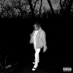 YSN Flow - "PET PEEVE"