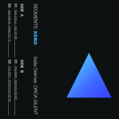 [PREMIERE] Saša Delimar - Valid (Orca Silent remix)