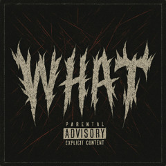 WHAT (Feat. Osa)