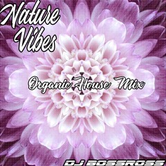 Nature Vibes & BossRoss Organic House Collab