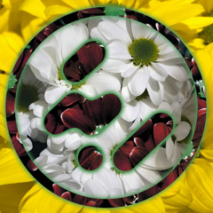 PREMIERE: Rob Pearson - Do You Understand [Woodwork Recordings]