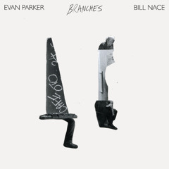 ROKU043 - Evan Parker & Bill Nace "Branches" [sample]