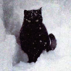 holodno w/ !REVENGE (prod cl6udly)