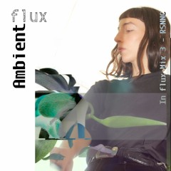 In flux mix 3 –  RSNNC