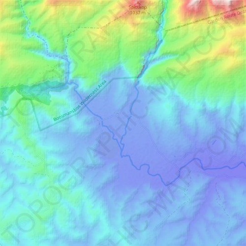Estuary