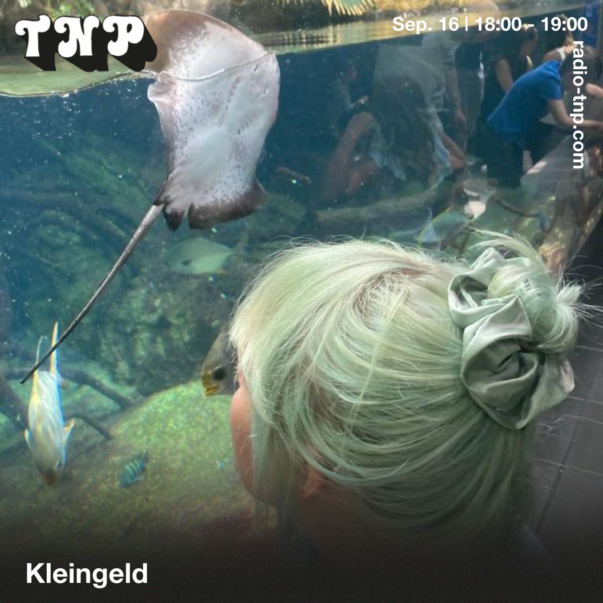 Kleingeld