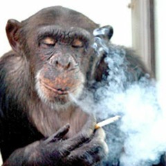 WAYN - You Know What It Is