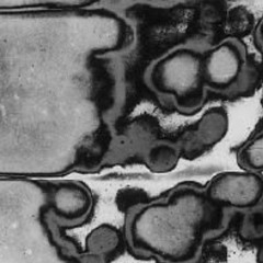 3rror prod. idly blare