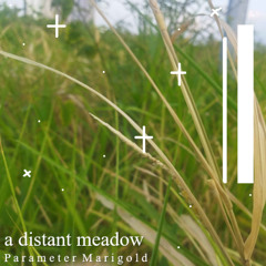 a distant meadow