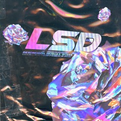Besomorph, MOGUAI & ROZES - LSD
