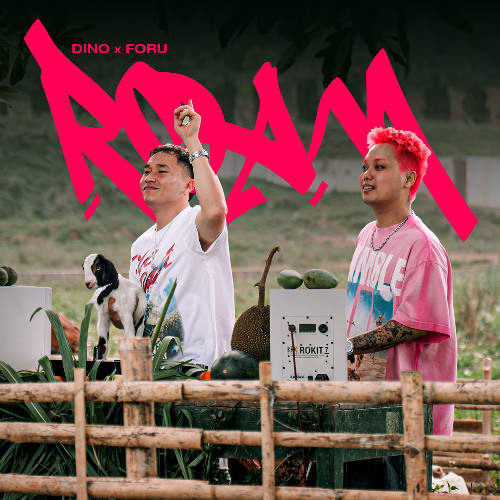 LIVE SET - ROAM (Dino $ Foru)