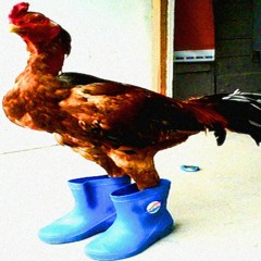 Cock and Ball Torture 4