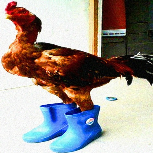 Cock and Ball Torture 4