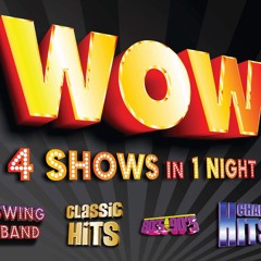 Mr Brightside (Live in Clare) // Wow Party Band