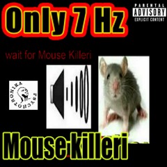 Mouse Killeri