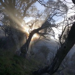 light