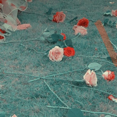 flowers, marina (cover)