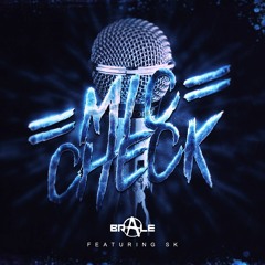 BR-A-LE - MIC CHECK FT SK