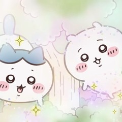 잔잔바리
