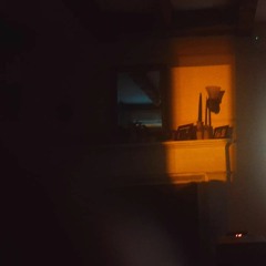 bug collector (cover)