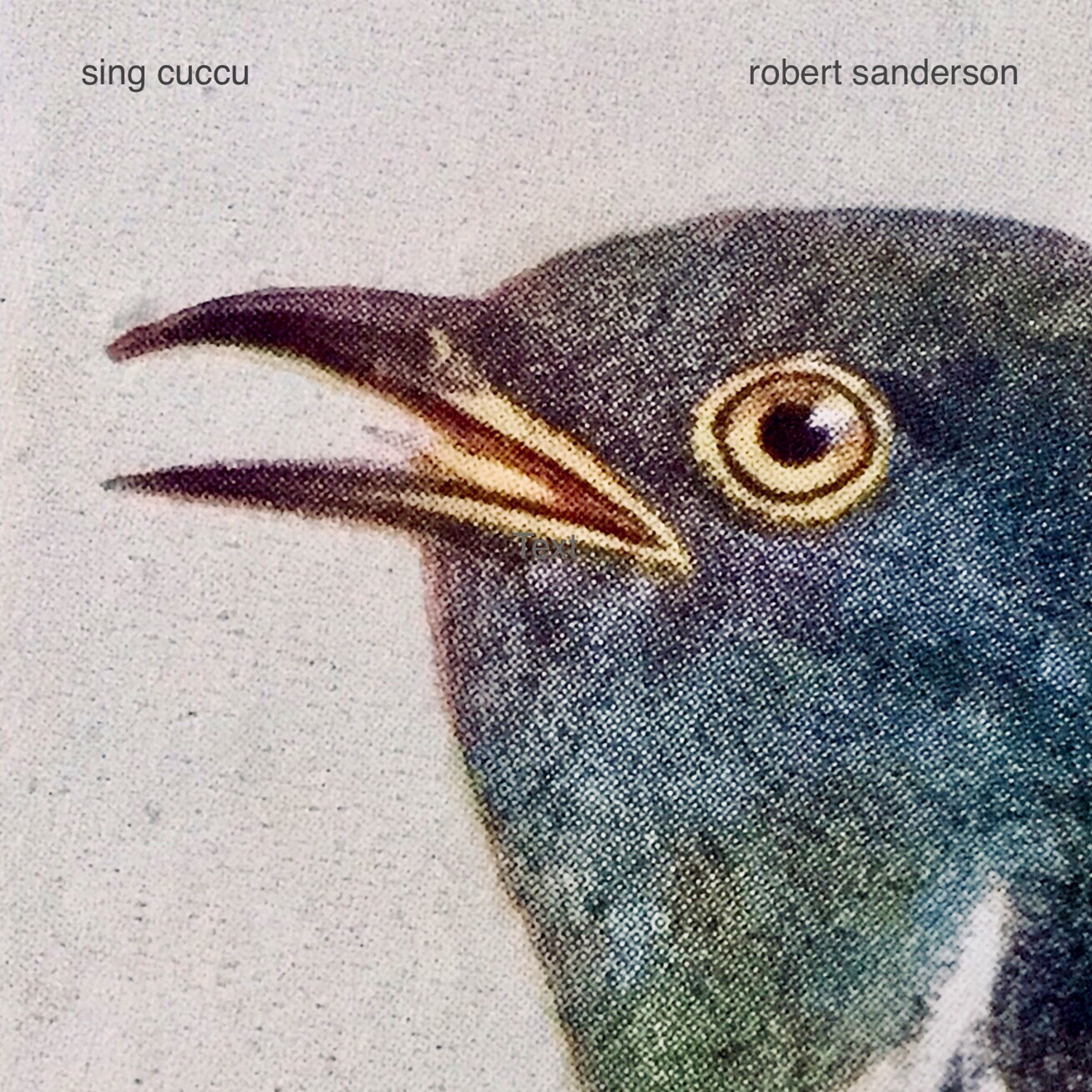 Robert Sanderson