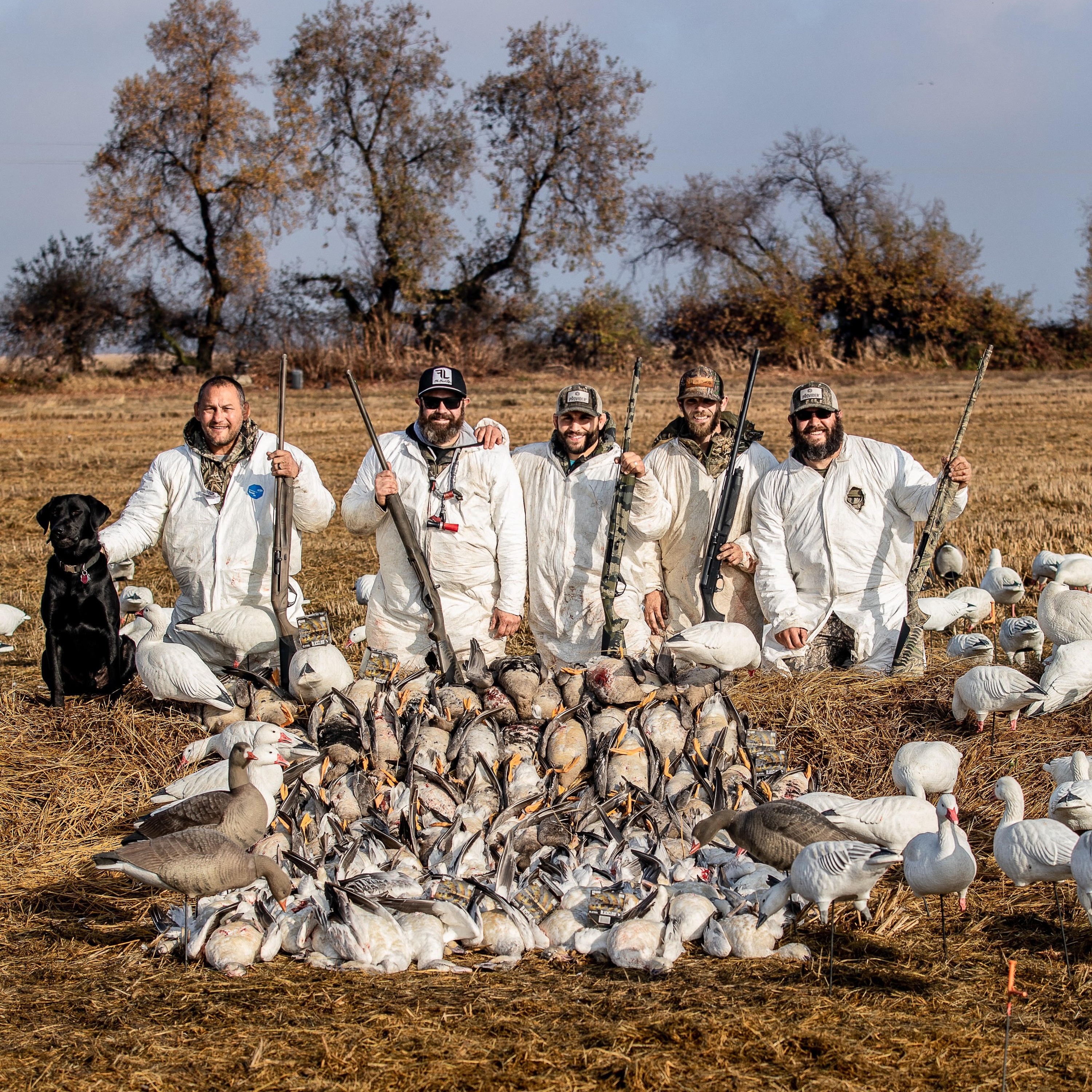 The Fowl Life