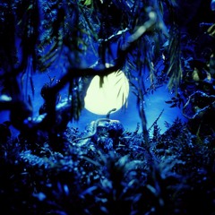 WARM SEXY EVENINGS 2