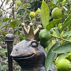 more hats (November)