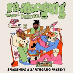 SNAKEGANG (Snakehips x EARTHGANG) - Don't Rush