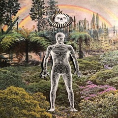 NICOLAS GAUNIN - AMATEUR EXOTIC'S ACTIVE SIDE OF INFINITY