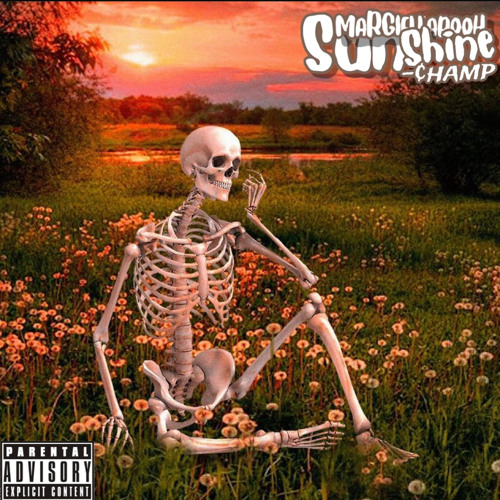 Sunshine (ft .¢hamp) official audio