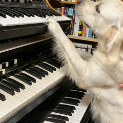 Losing That Chord