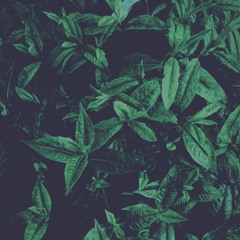 2 бара - lil krystalll