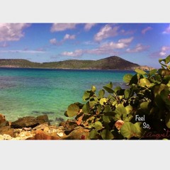 Feel So (Prod. by Riddiman)