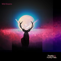 Wild Dreams