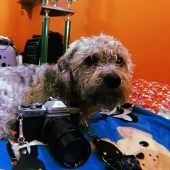 Harold Melvin And The Blue Notes - I Miss You Remix