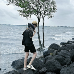 文夫 - 望故乡(柳州Dj子靖 FunkyHouse Rmx 2024）