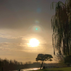 Ch Ambient (Ft Tano)