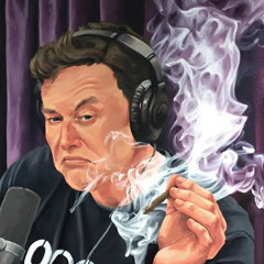 RARE - ELON MUSK 🪙 (prod Trevor Whippa) (preview)