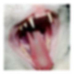 ୭ ˚. 🫐┆ ♯   no chill mix 🍥 , 𖦹°‧ .ᐟ