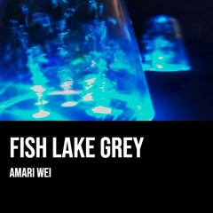 Amari - Fish Lake Grey