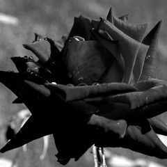 Liter im System (Live Session)