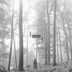 Taylor Swift - Hoax (From her latest Album Folklore)