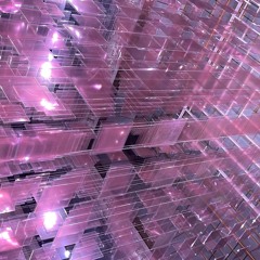 REC003.WAV "Magnetica in insignibus"