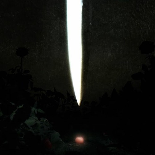 BNPT - 04 - Second Tale