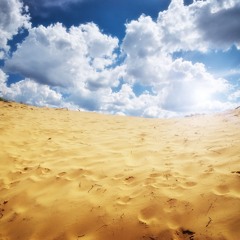 Arabic House - Desert Vibes RAW